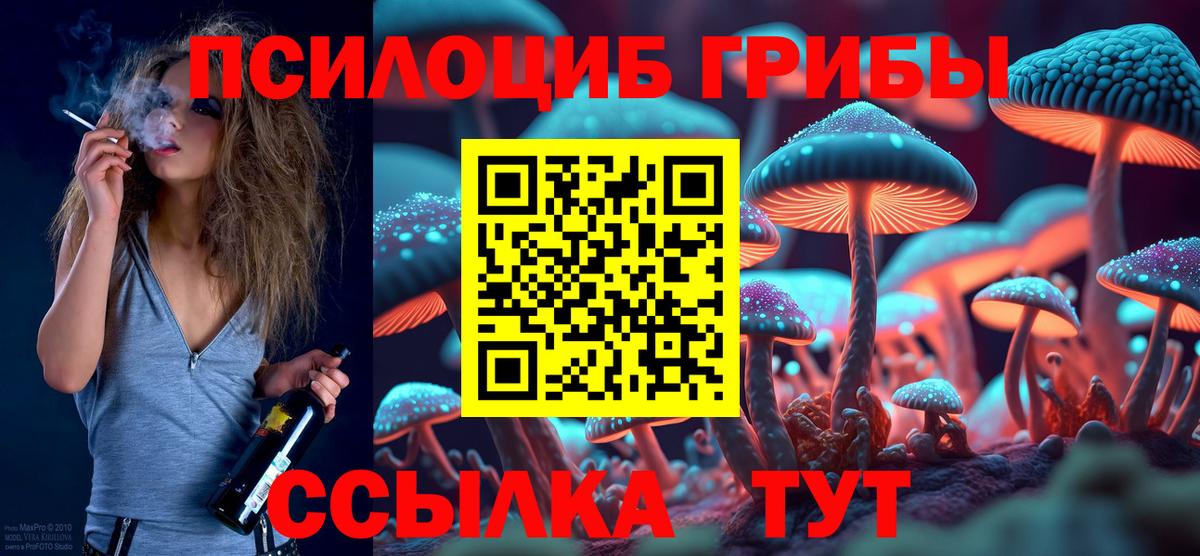 Псилоцибиновые грибы Psilocybe Казань